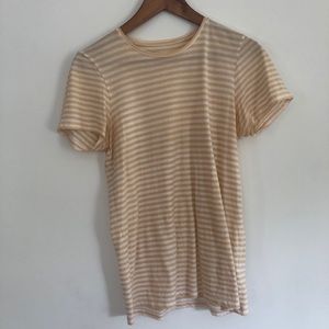 Everlane The Cotton Crew